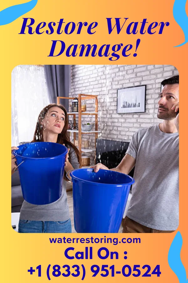 water restoration Stellar Sewage Cleanup & Sons Sutton